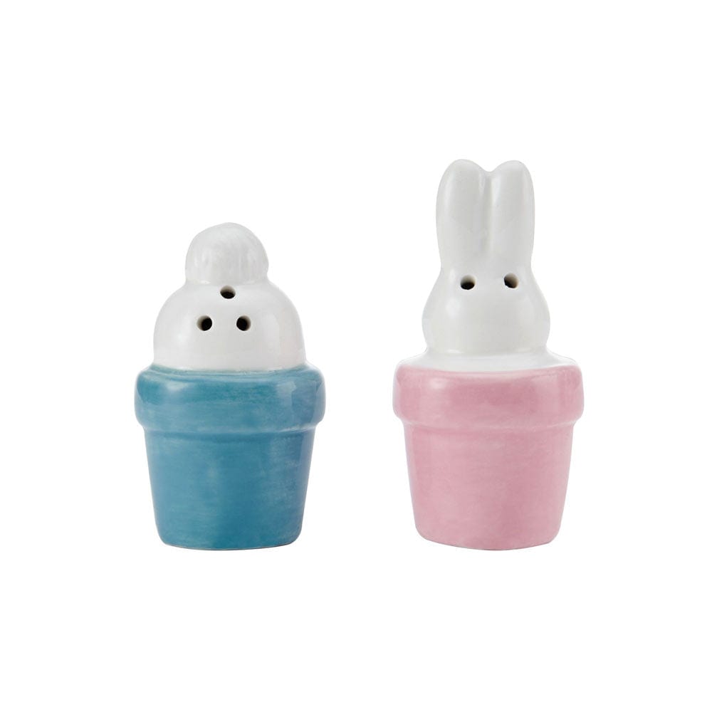 Easter Bunny Salt And Pepper Set