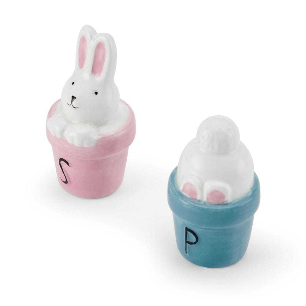 Easter Bunny Salt And Pepper Set