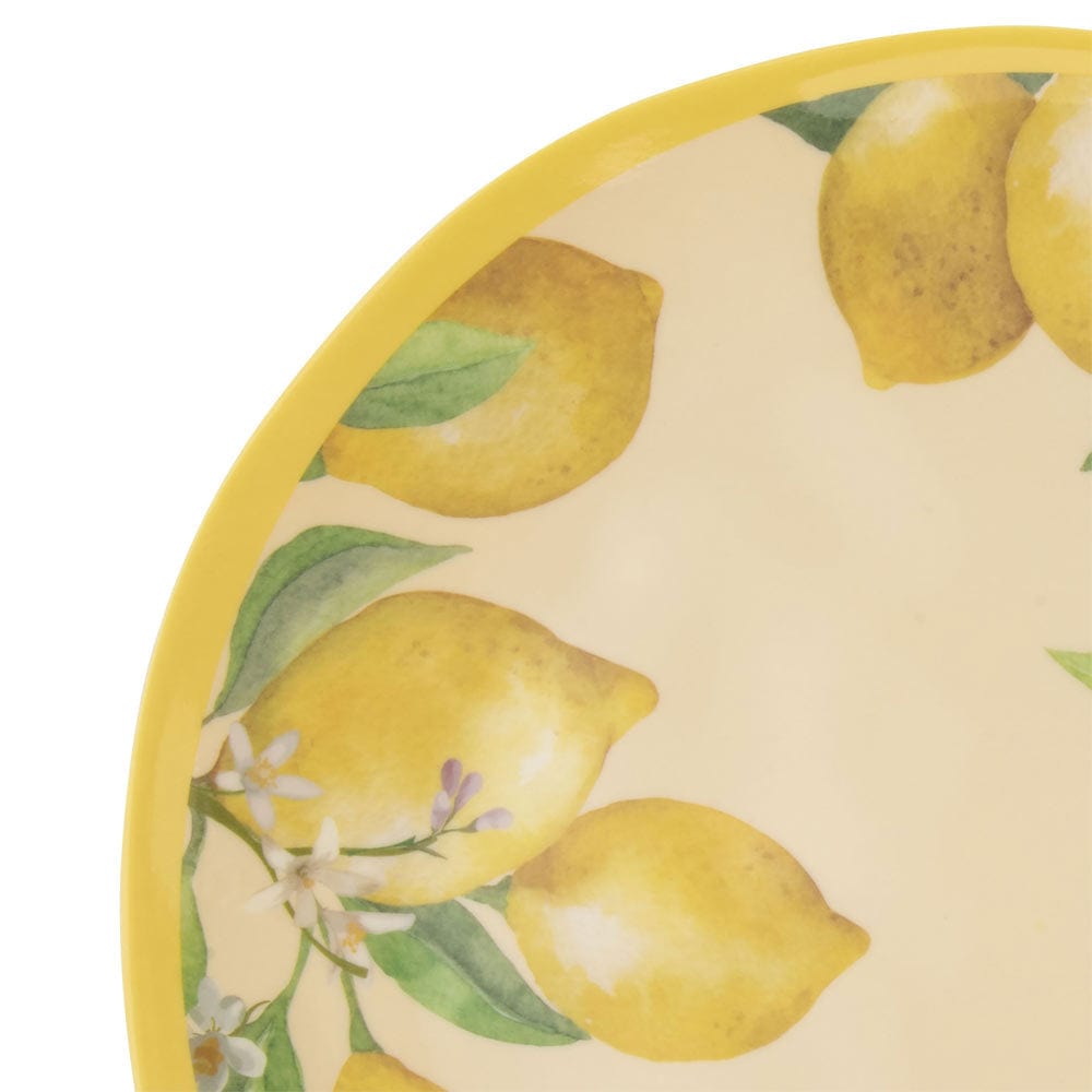 Lemons Outdoor Melamine Dinnerware Set