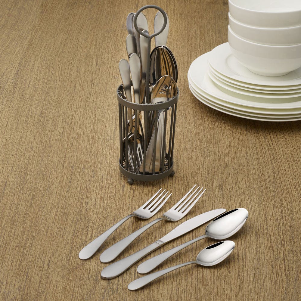 Salisbury Satin 20 Piece Flatware Set With Caddy, Service For 4